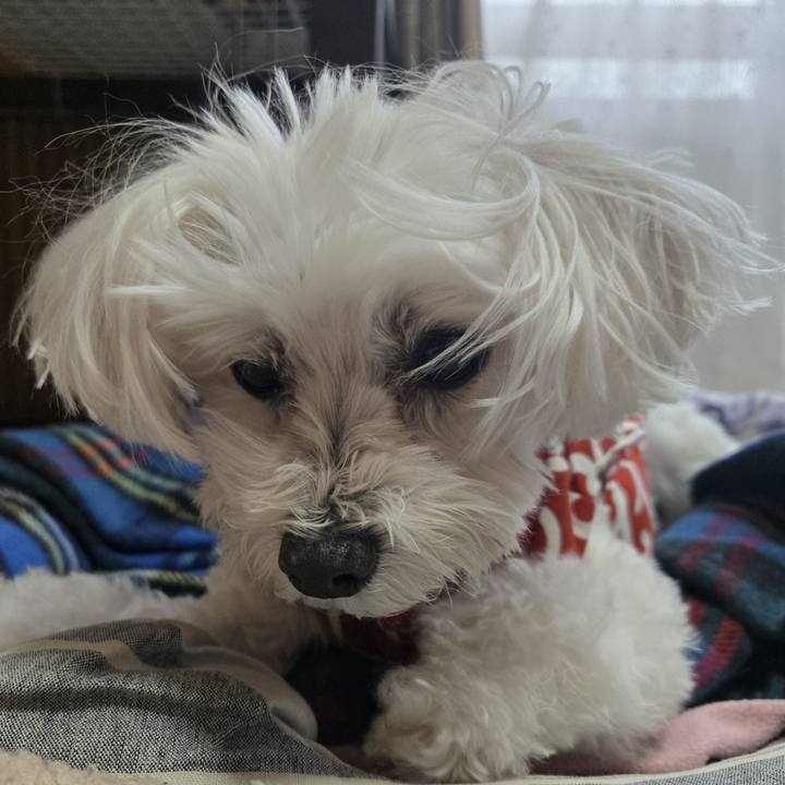 2efe0637 baa3 42b7 94bc 1d28dad5d1f0 1766282975862