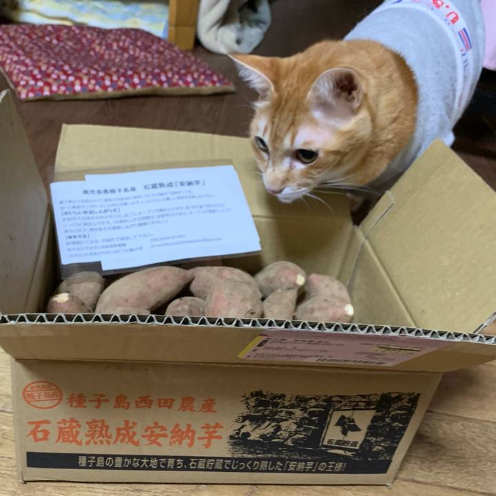 2efe2b4d 8b41 4842 ba67 13823d760913 1611749227312