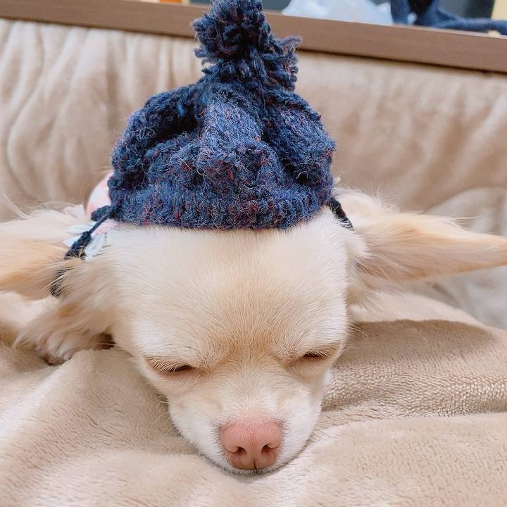 2efe40b0 3148 45f9 a5e3 7a3fce2f24d5 1615004281272