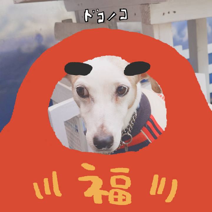 2efe5e4c f361 4f5b af86 5ee2c96354e5 1772233589587