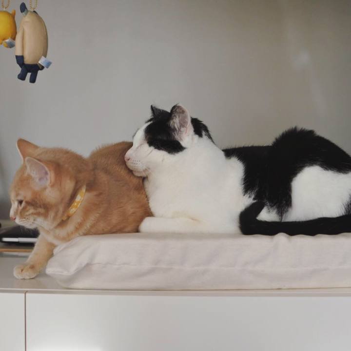 2efe8b73 27a6 430f 96b5 e3a90c5e458d 1550231561208