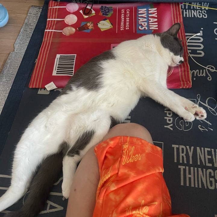 2efeb8f0 713e 4ea8 9f75 779cbf707929 1723447628498