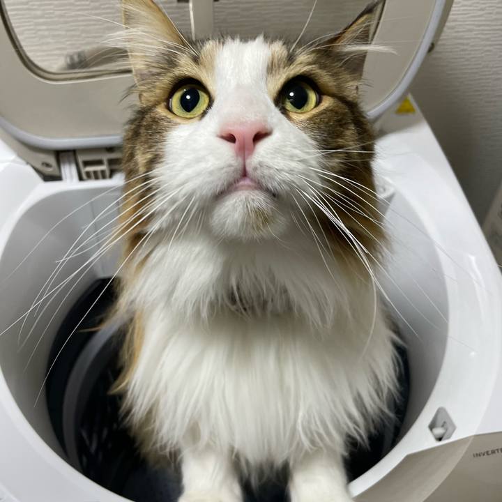 2efec392 a8e9 4c80 8349 1c672423d731 1682711256568