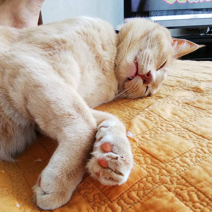 2efec471 80ff 43b3 82ef 18a5d9b7c434 1598761190849