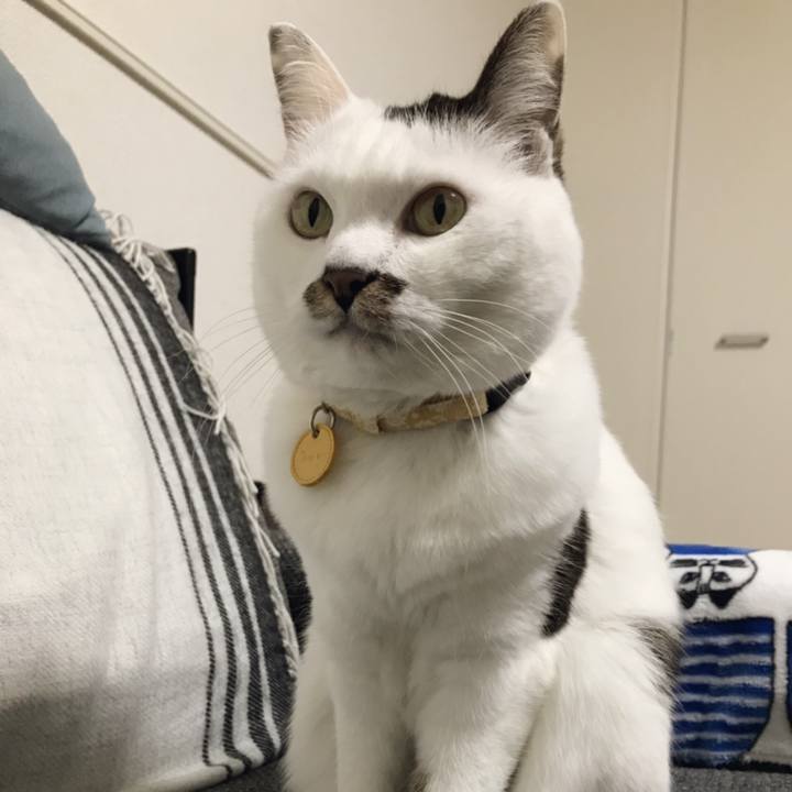 2eff0c88 5c81 4583 819a e78db7c7fc6c 1550975531930