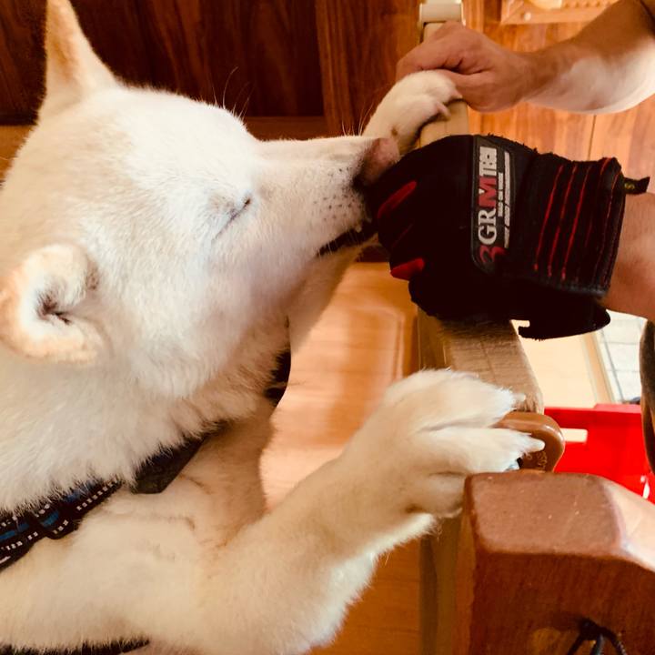 2eff118a e4d9 4e6a 8639 67a5ba79229f 1624878807300