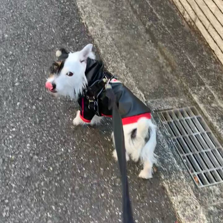 2eff233b 0066 4856 99a1 c8710f917314 1644998677938