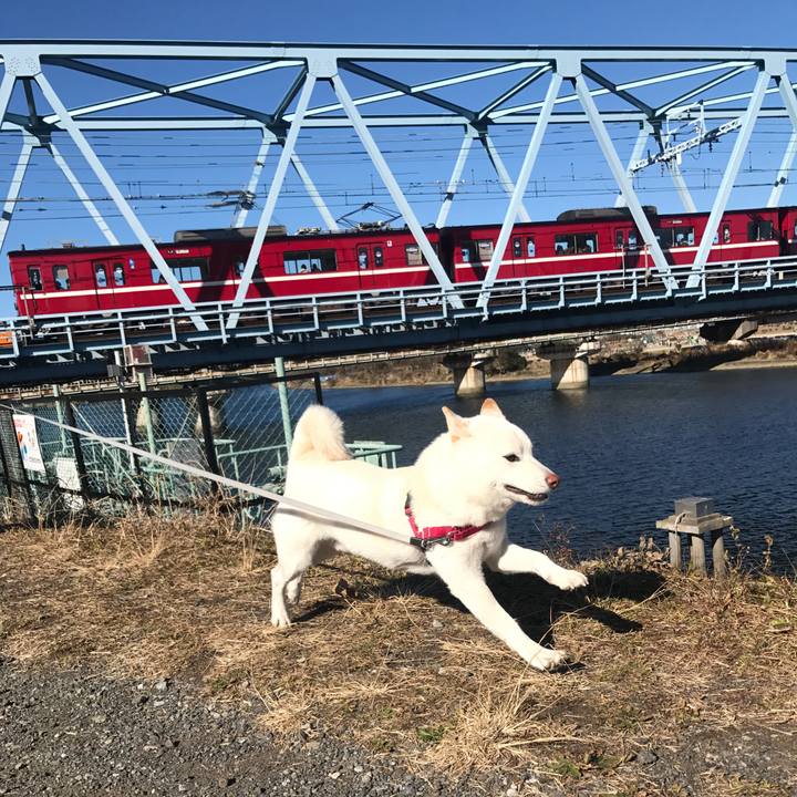 2eff5824 0cf5 4c0e a423 74a9b3d6cf39 1515898452136