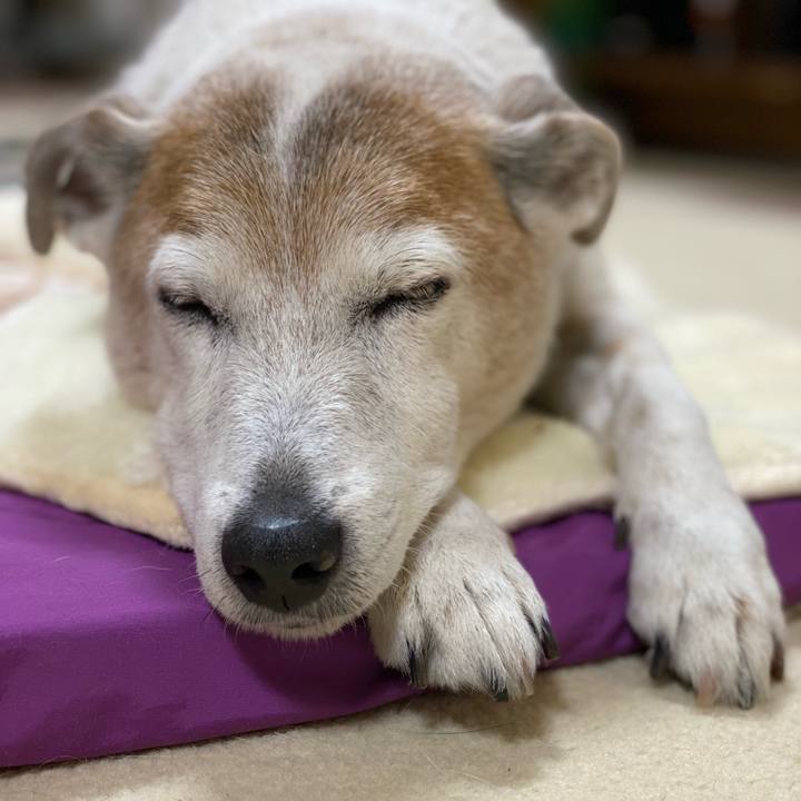 2eff7116 302f 41a8 b0be a4ad189f626c 1640782245182