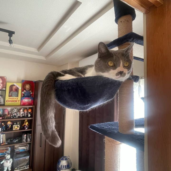 2effb536 fc0e 4790 b2ca 09942be55eaa 1704592720263