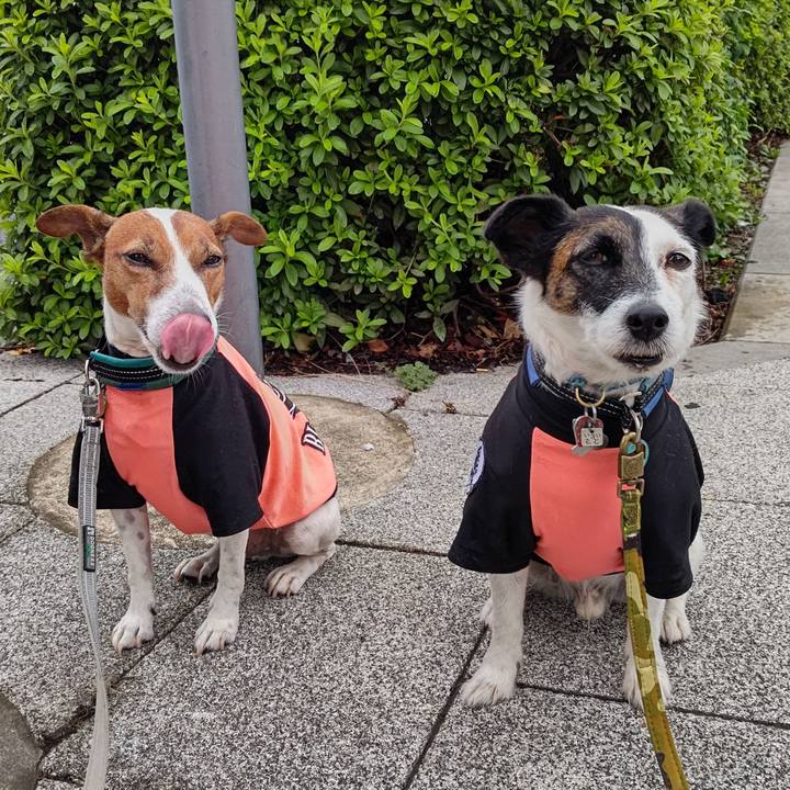 2effded7 e7ab 4470 b9fd 656604c270ed 1696456526825