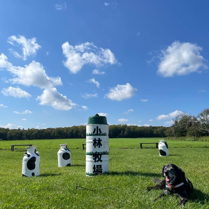 2efff414 e56f 44c3 9b23 2377193813c4 1759375844098