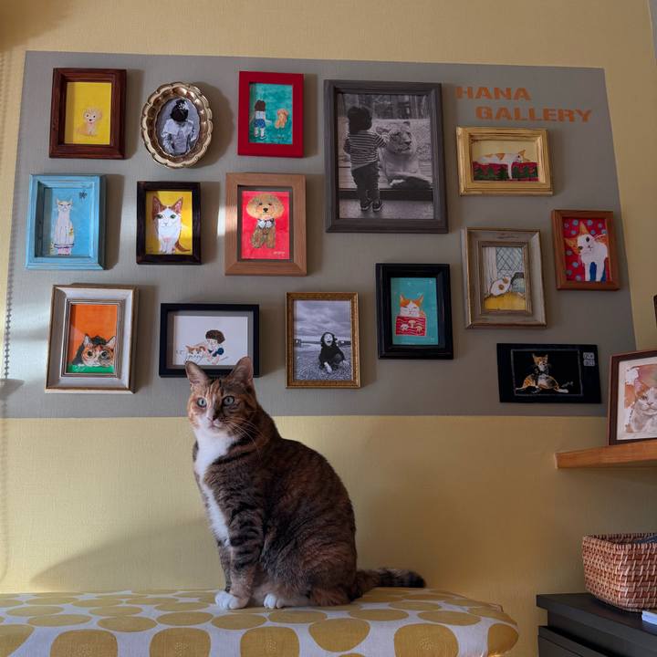 2f0007b9 175a 4756 9c5a 36bfe143c7a9 1768629728529