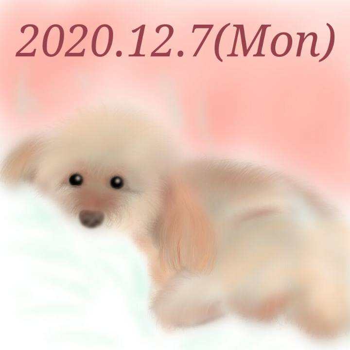 2f001a14 76ea 4ff3 b08f ff8221d99bb3 1607342926804