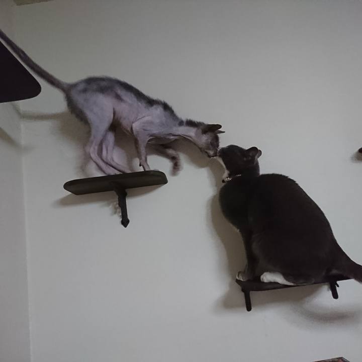 2f00366d a174 4522 810c d3648c21396a 1522419030992