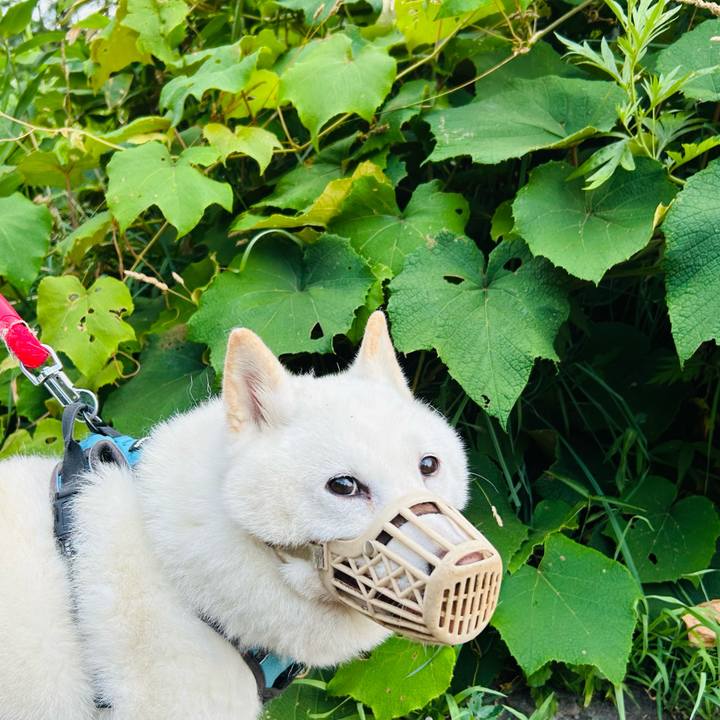 2f00377e dd68 446e 898d 44ca452e6bfb 1752526615543