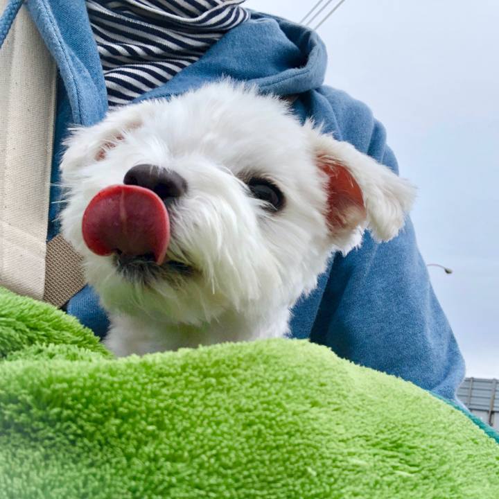 2f005250 40b8 47f8 805c 51c61ff067e1 1571286373639