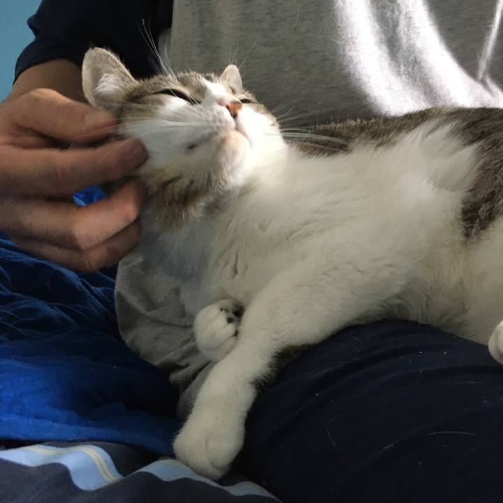 2f005c5c 2a1c 4e52 92e4 3f8cdcc1a51b 1620357321250