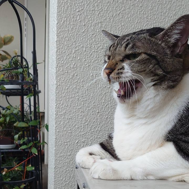 2f00a154 a9ea 4777 a4a2 d3facedd5dbc 1633995756786