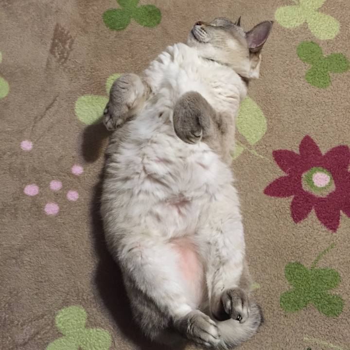 2f00ede6 6a71 44f1 b60a 734c635007ca 1543317862416