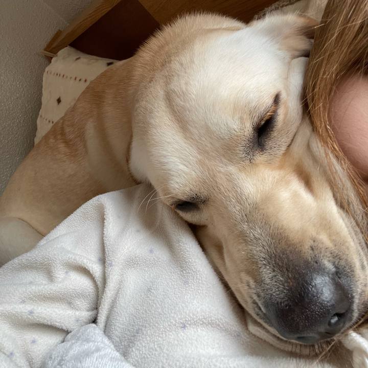 2f0131b8 b42a 4b38 a0e3 72e50873b588 1635727869419