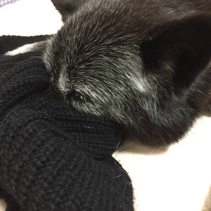 2f0188f9 bdcf 41c9 8328 e9fdadd27d0f 1550718190326