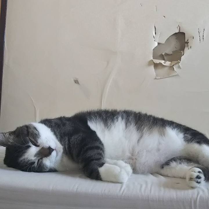 2f01aec4 79aa 40a4 a2ff 32eeac20c7c1 1600856987203