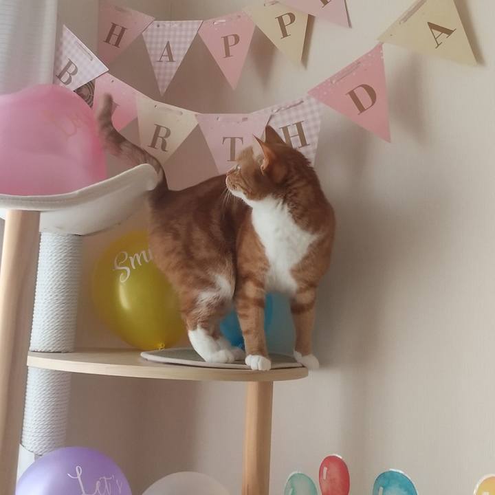 2f02257d dbff 4d6b 80cb 7c4549532074 1702517036117