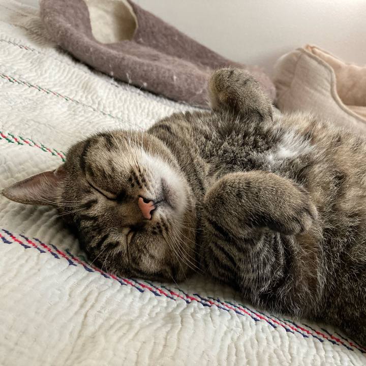 2f0232ba 430b 42b5 93c6 9707eb26bf55 1721005447635