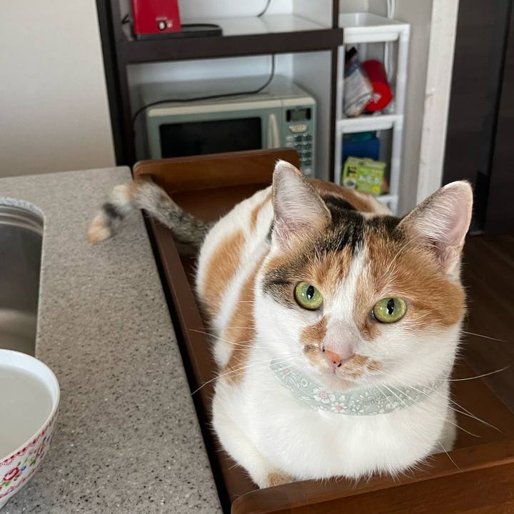 2f024e5d a0b0 4a4e bde9 2c8306a9d112 1667345534195