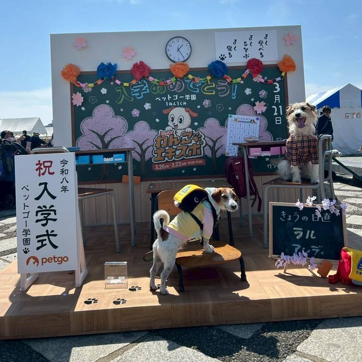 2f02740b 3b0f 46e9 ac6a 44fc29fb83cb 1774088258054