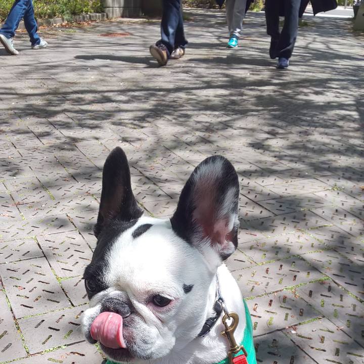 2f028871 4a53 439b a09f 5d8ea7898cb9 1587384516303