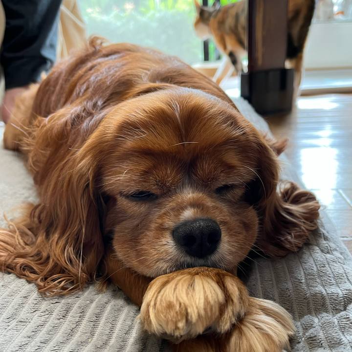 2f02c3b4 62fa 447d 95b2 6173dfd5dc1c 1686572071487