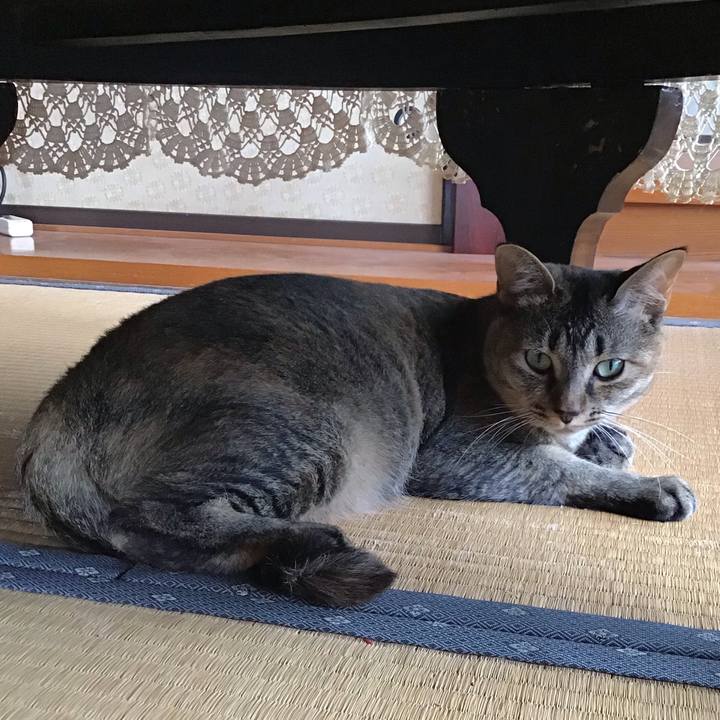 2f034296 78cf 471f a78b 5b67429a775b 1594513067808