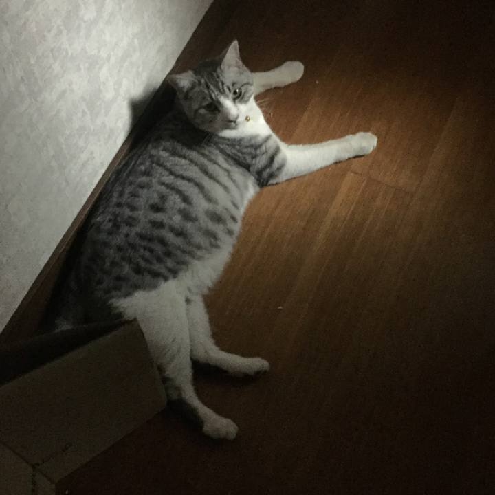 2f0389c7 3c37 433e a87f 47137b95262e 1551649648394