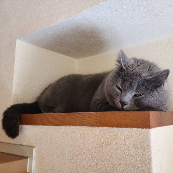 2f039d12 8419 4dc7 8f74 53de218f149b 1646211959064