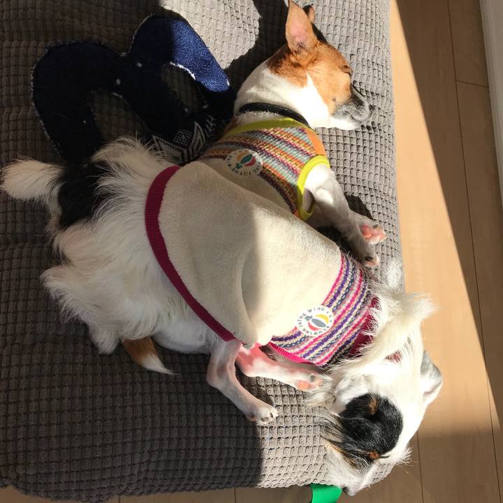 2f03ed1e 027c 4672 aacb ec233f4a9e28 1512960838451