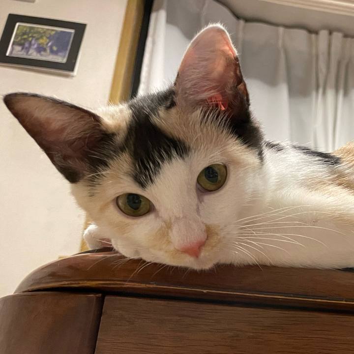 2f03fd3d 30b0 4d5d 8663 a216ed715b62 1662903056977