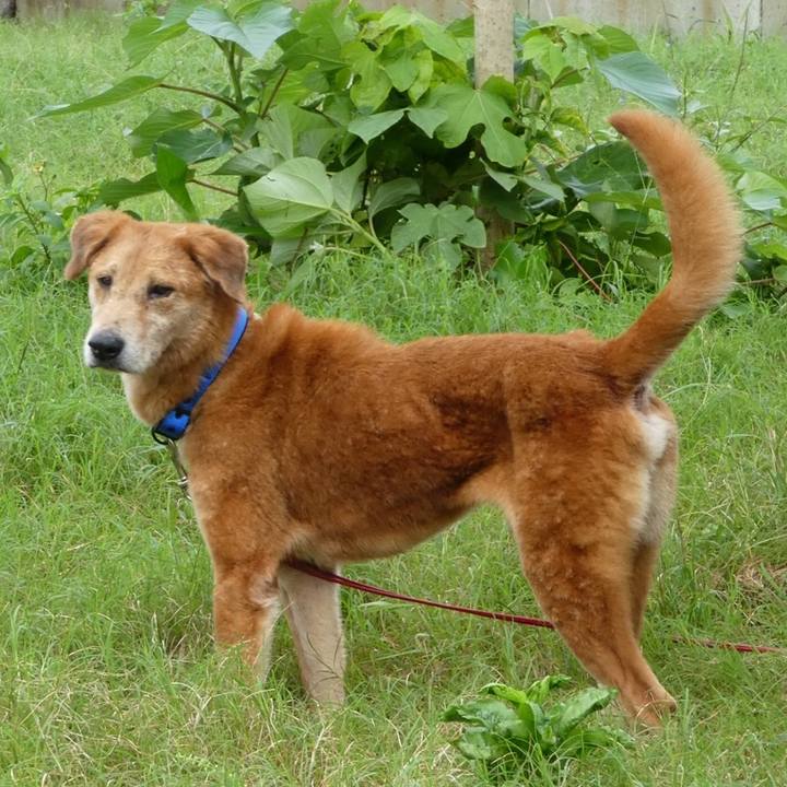 2f041cb8 ef1a 415d afb0 4495488c22a9 1647757434654