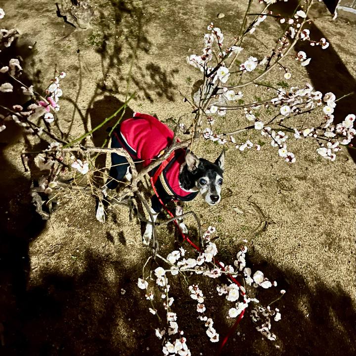 2f043c25 0d30 4e80 a05a 97db08055e32 1646393029063