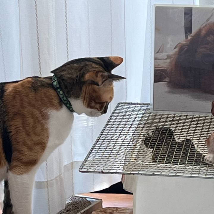 2f04418e 40c7 49b6 a89a ff46263cb5bb 1698966333906