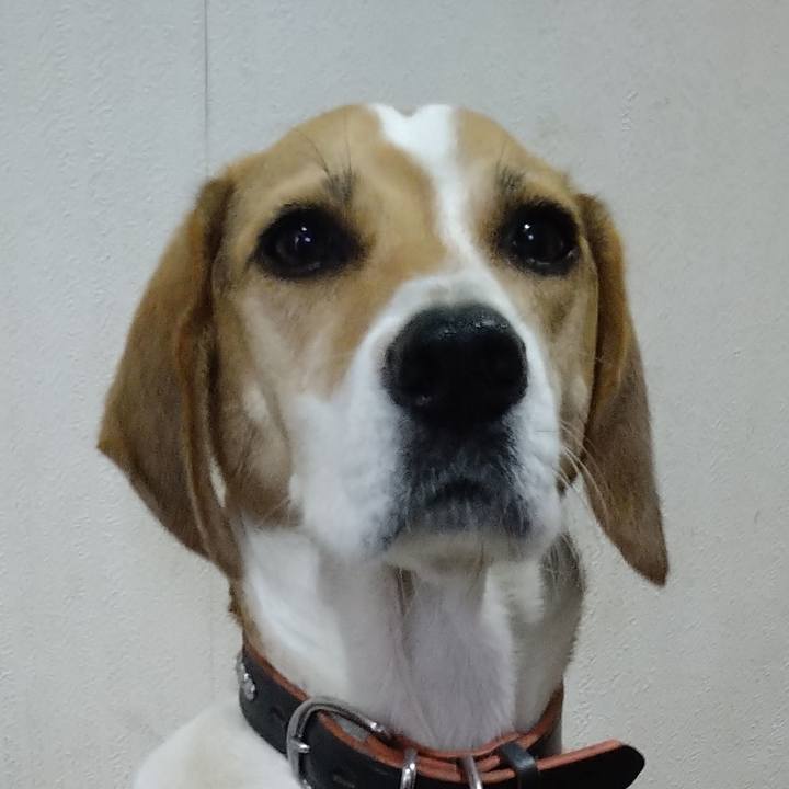 2f04593a bcc9 4c4a 915b 2570b7cbc145 1636463646875