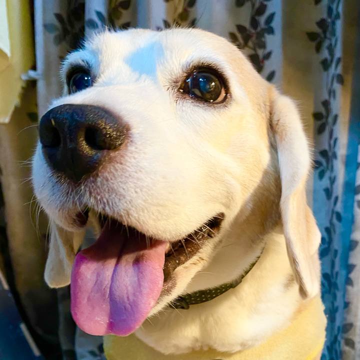 2f048447 0ef3 4378 b2aa 82772f2fcbbe 1657951005696