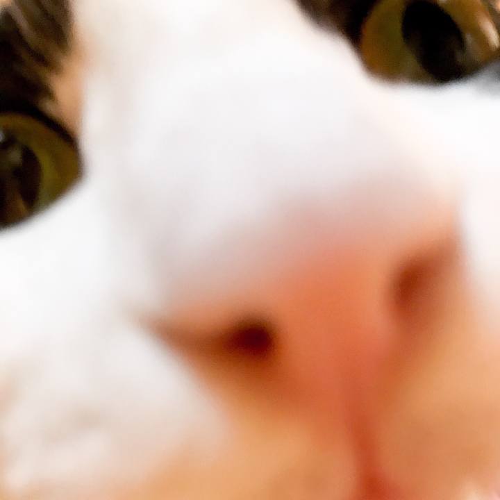 2f04cd9d 27ee 4566 b74f 0ede4769d6db 1526690570961