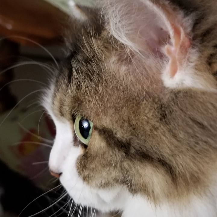 2f04d5c6 535d 4836 81eb 7d25aa3b6310 1594477120248