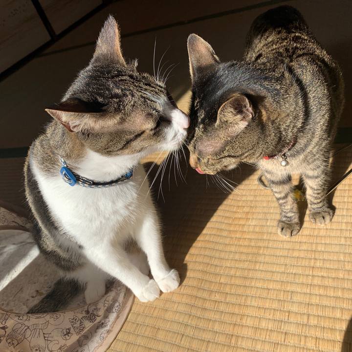 2f04f668 44dc 4cf6 94aa 4b4318070145 1573610248841