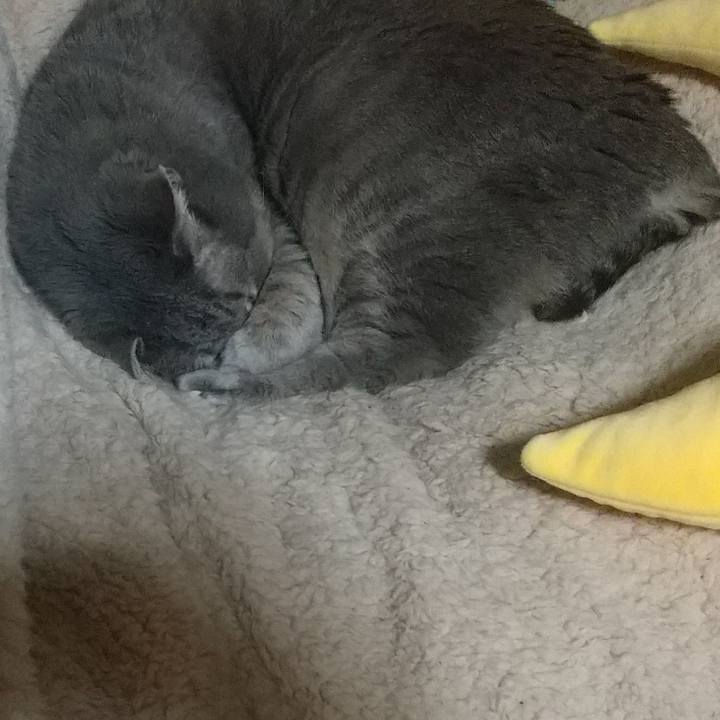 2f053119 ce0e 4ec7 8570 ec24426134e4 1650821567997