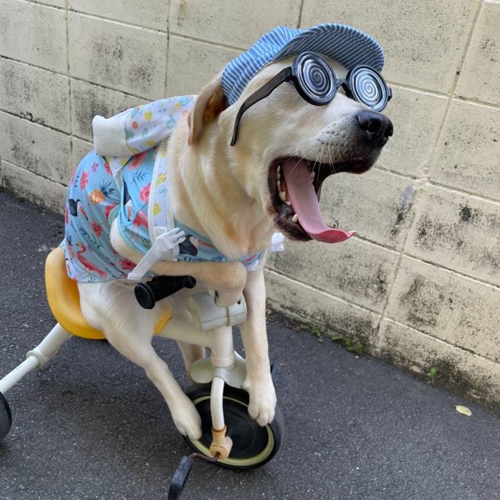 2f0549c4 39b1 4d2a b089 4e3b80a3d850 1636117118921