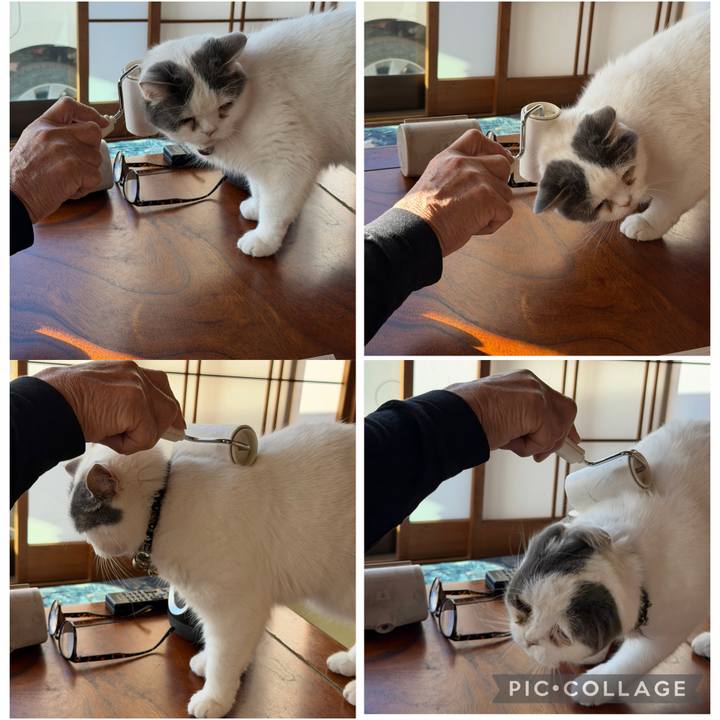 2f0555b0 1f7c 48f7 ab7f 3110d0993ba5 1768529541823