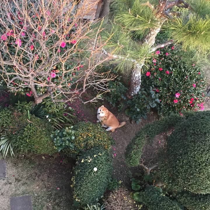 2f055882 42a4 4108 8966 7f2bfcdc421a 1514636761045